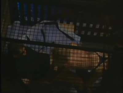 Jenna Jameson gettin smashed in a cage