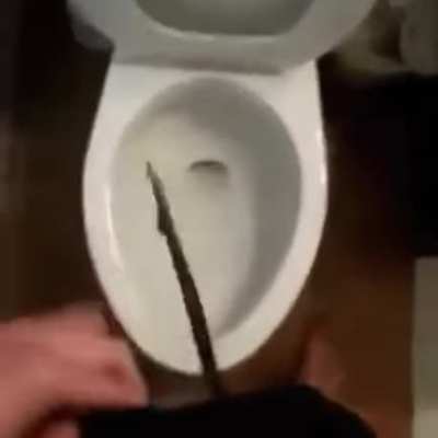 lol?
