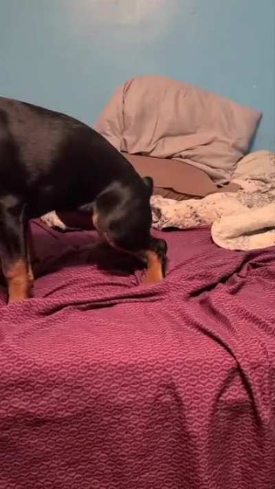 Not what I wanted for a cute video [OC]