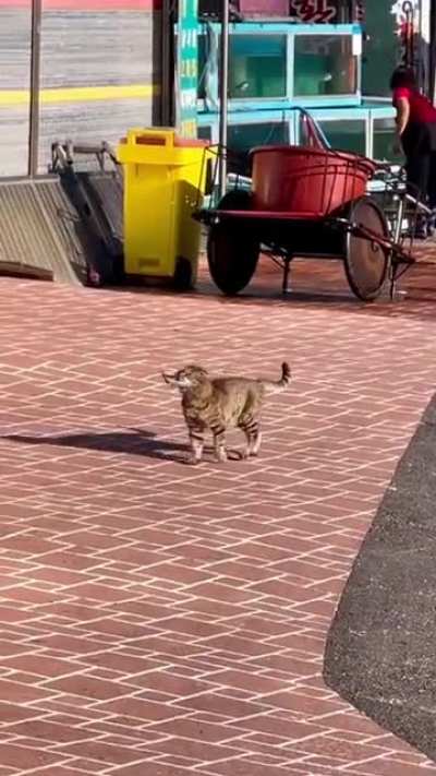 padapadapadapadapada