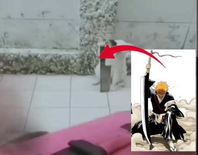 car is him