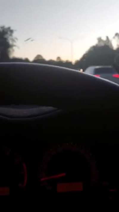 Hitch-hiker