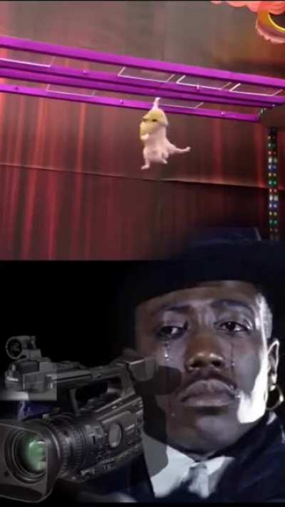 rip