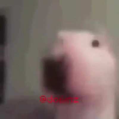 The alpha raptor after chasing me into a dead end: