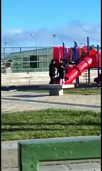 Presidente Boris queda atorado en tobog&aacute;n de ni&ntilde;os en Punta Arenas
