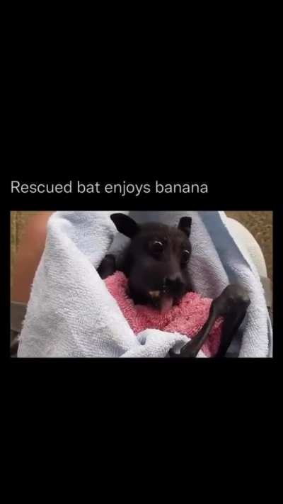 Awwhh