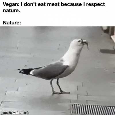 The circle of life