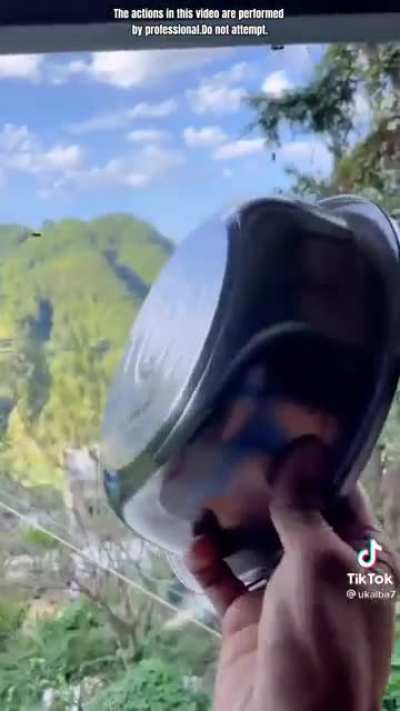 Wasps gettin&rsquo; the ka-bonk