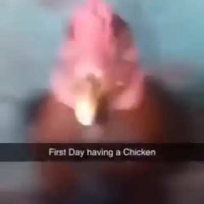 Chimken