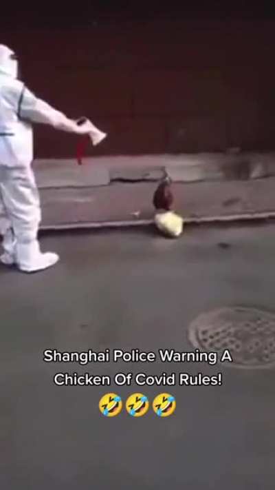 Shanghai police warning a chicken of covid rules