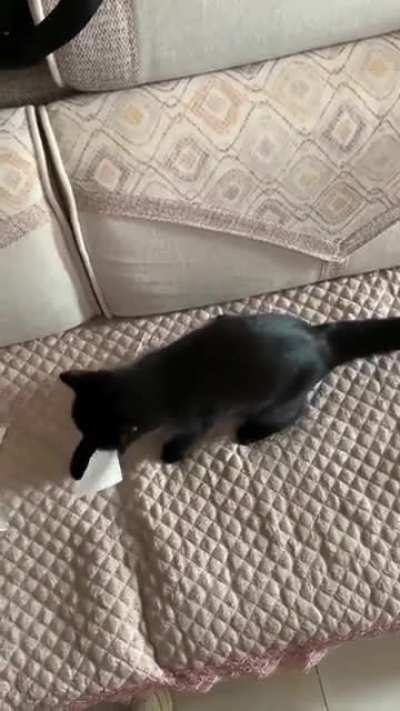 Maybe maybe maybe