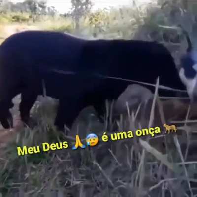 Gatin