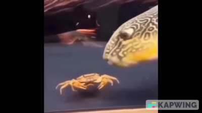 RIP