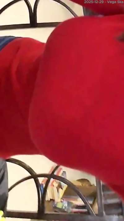 2025-12-29 Trisha Hershberger's nice BIG roku... A closer look