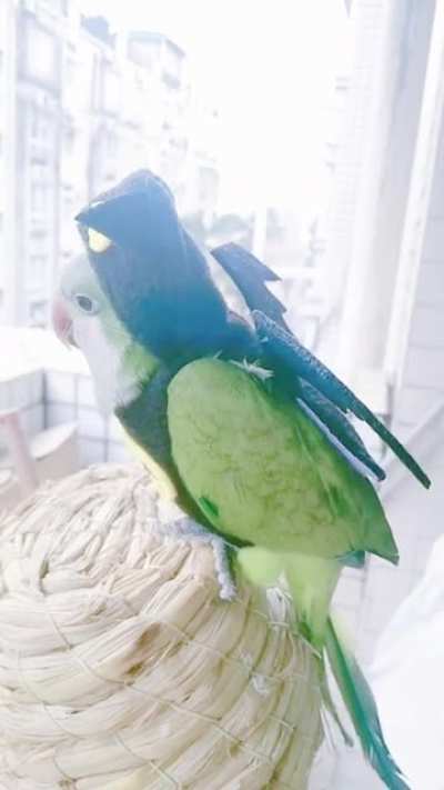 Sooooo. Cute&hellip;&hellip;