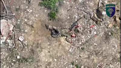A small Russian's infantry assault group destroyed by FPV and munition-drop drones.
