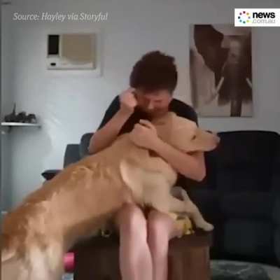 Amazing dog