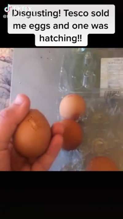 Don't buy eggs from tesco