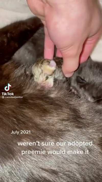 They grow up so fast 🥲