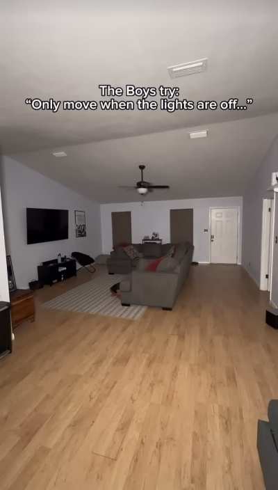 A video of Stanley&rsquo;s favorite creature