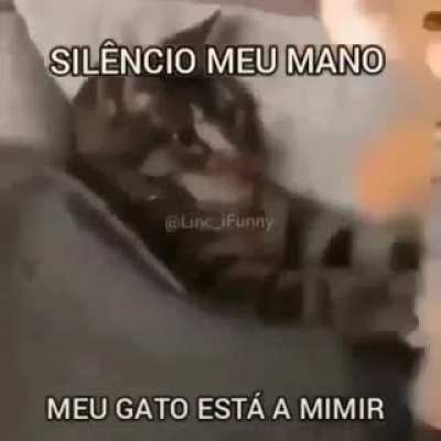 Silencio mi gato quiere dormir