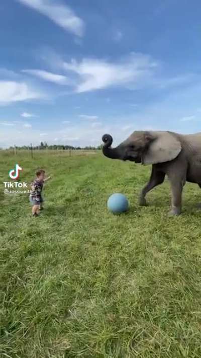 Don&rsquo;t play ball with an elephant