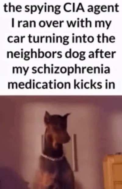 💊