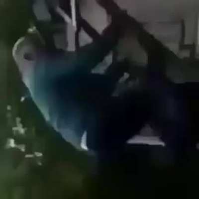m meme apenas