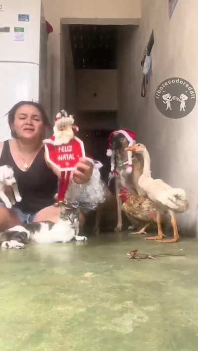 Feliz Natal :) 