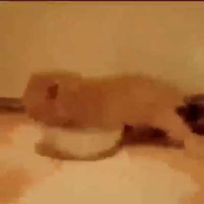 i want milk