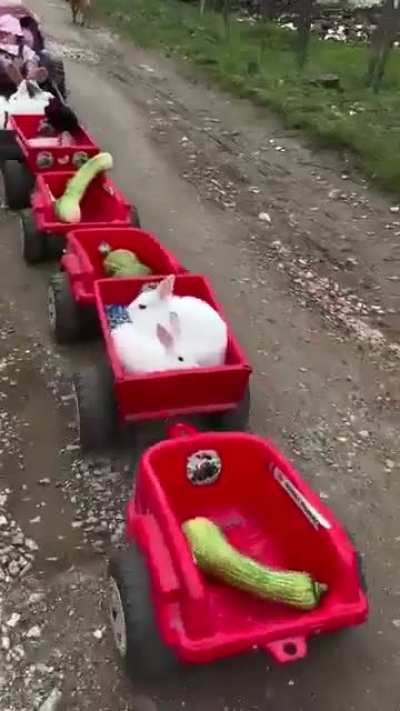 This little guy has childhood premium