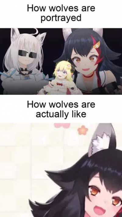 Wrong portrayal