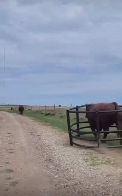 Don&rsquo;t see that everyday.