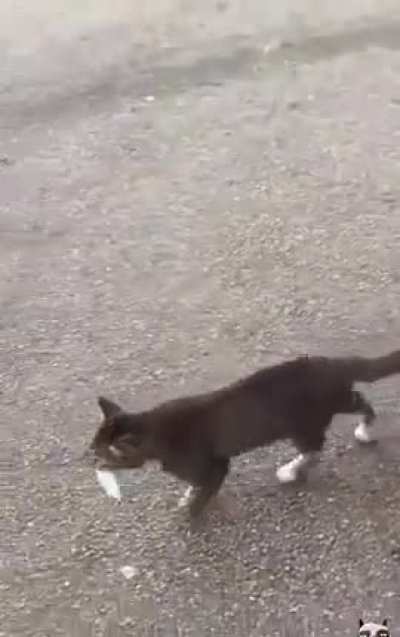He didn't steal it, he bought it