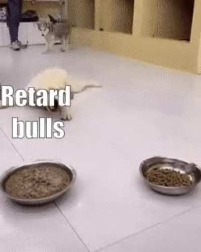 Retard alert Class
