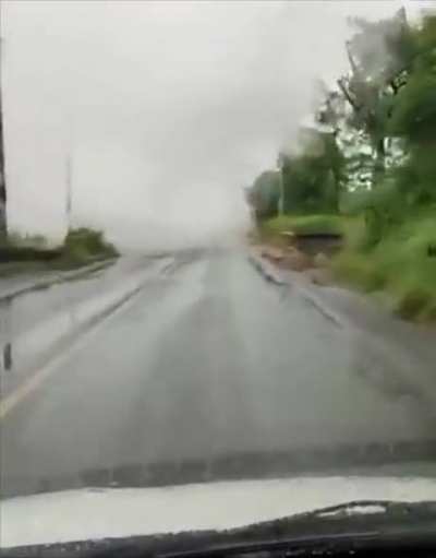 Driving through the fog