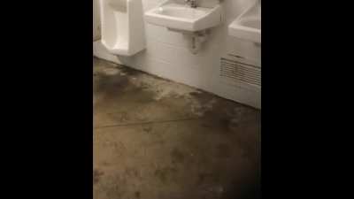 Cursed_Sink
