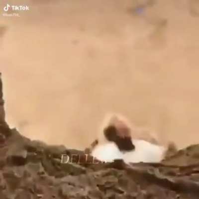 ههههههه 😂