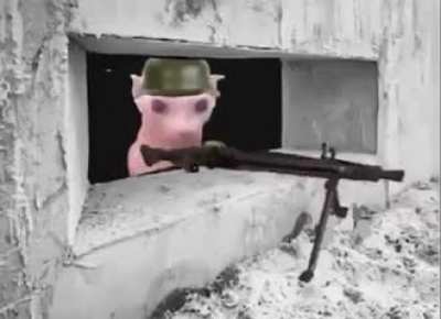 DO NOT UPVOTE THIS IT IS NOT MINE