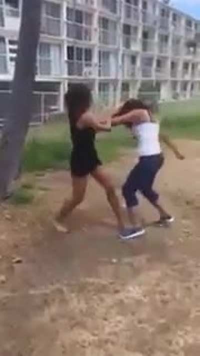 Ocean Front Fight