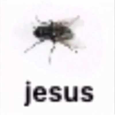 Say hi to Jes&uacute;s