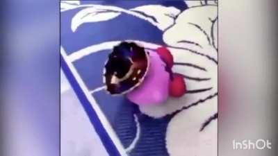 Mexican Kirby has seizure