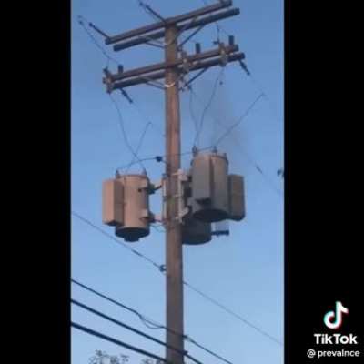 💫 Perfecrly Cut COMPILATION 😯