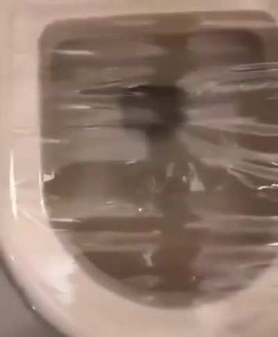 a good toilet life hack