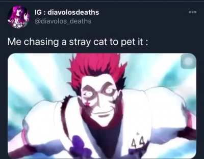 Cats are the best and no one can convince me otherwise