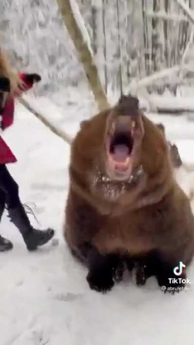 Only in Russia