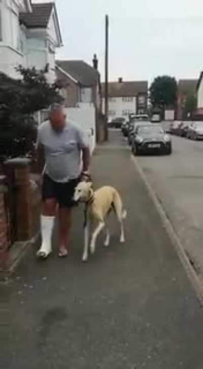 This bloke spent &pound;300 on vets fees and X-rays and it turned out nothing was wrong with the dog, was just copying him out of sympathy