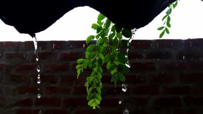 I bring the Rain