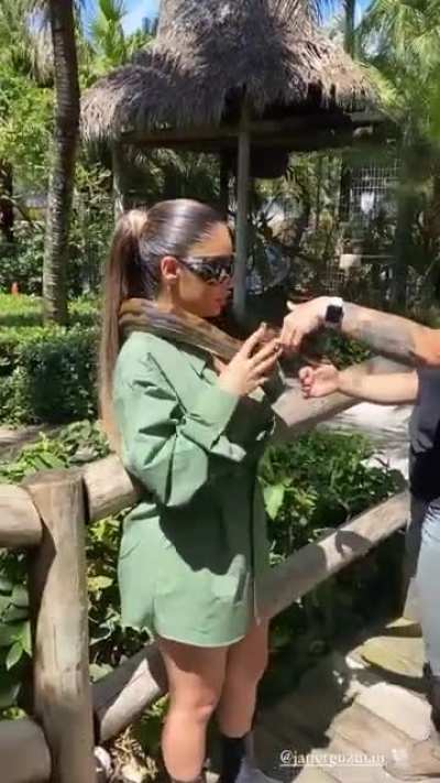 Lucky snake
