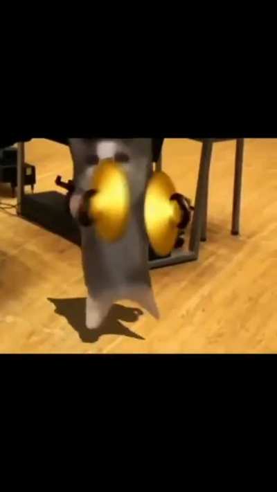 whicat